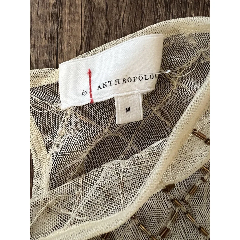 Anthropologie Sheer Maxi Beaded Column Dress Light sand Brown Size Medium - Picture 7 of 9